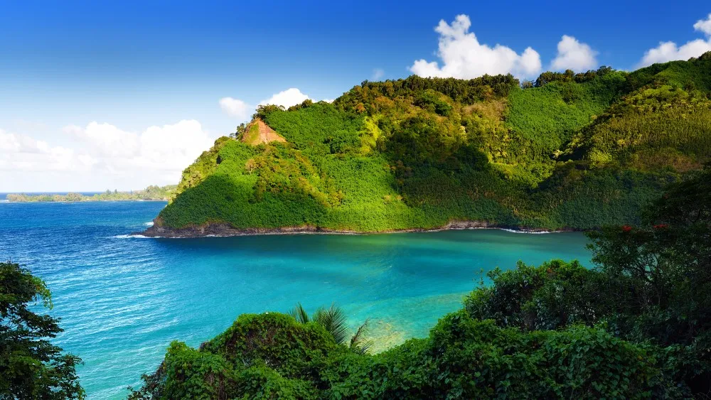 Hana and Beyond Guided Tour