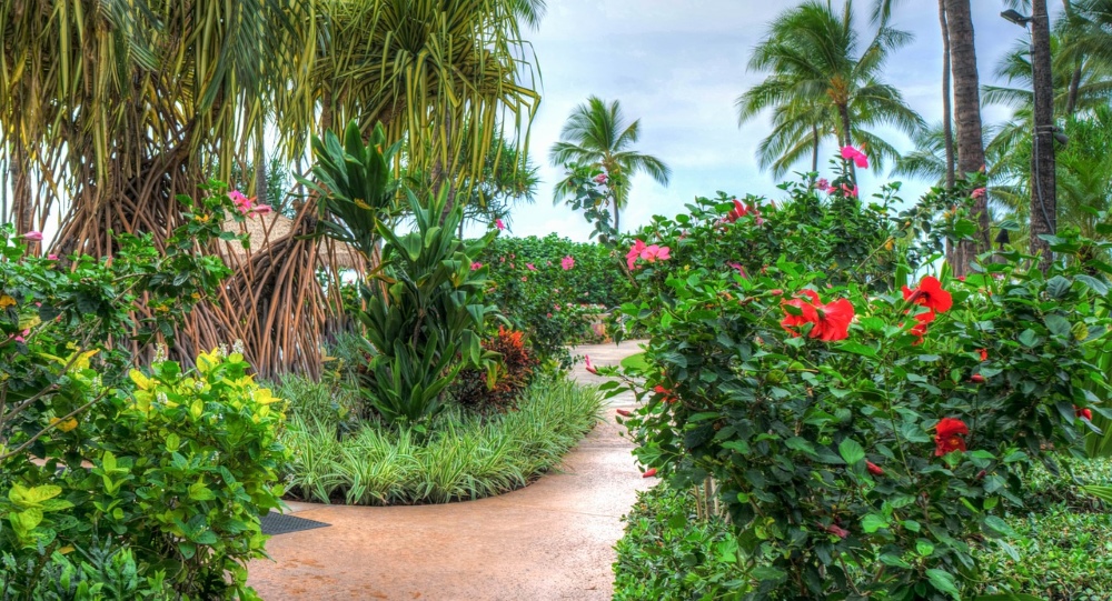 Botanical Garden & Chocolate Tour
