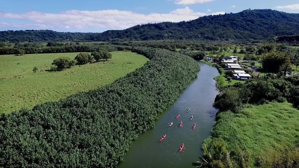 Hanalei Morning Kayak Tour