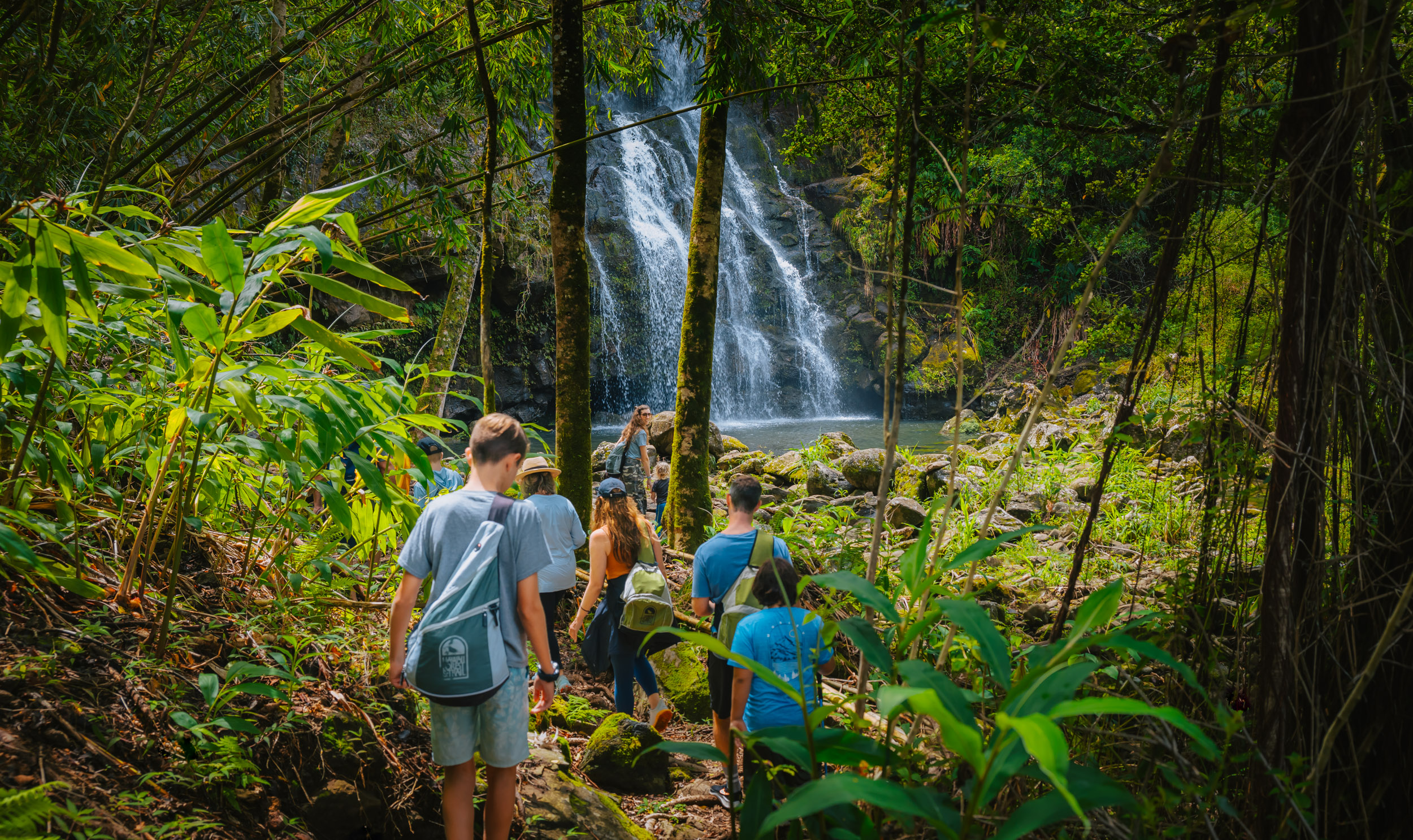 Kohala Waterfalls Hiking Tour