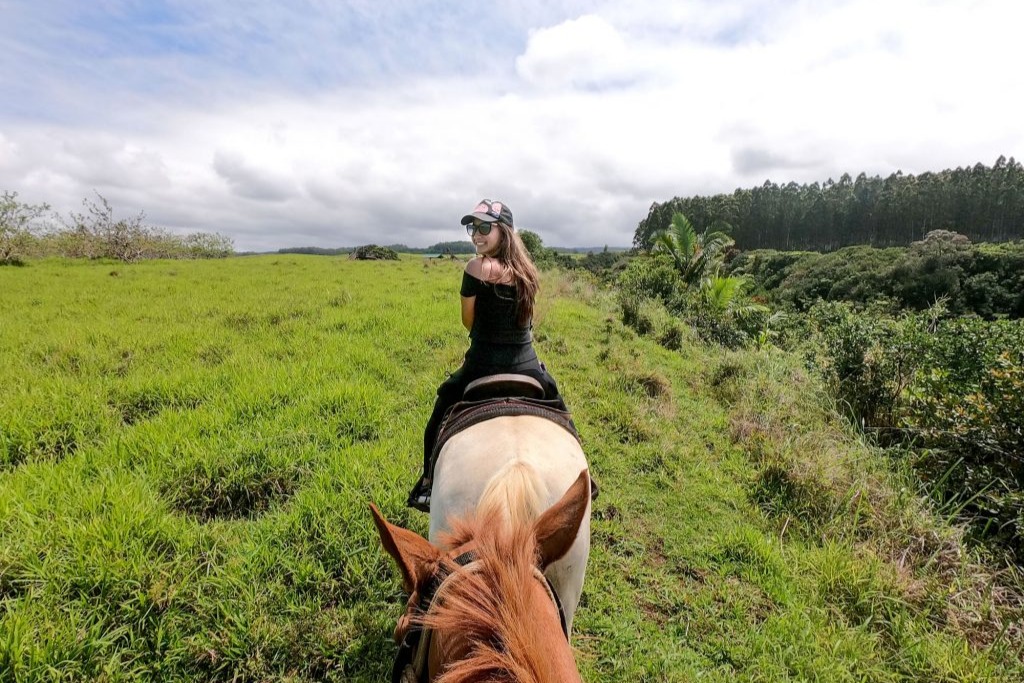 Morning Horseback Trail Ride & Waterfall Swim