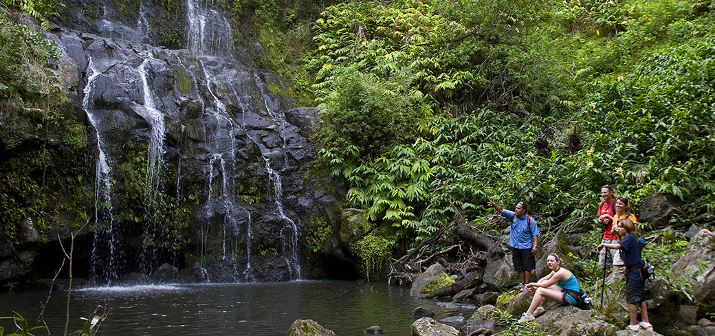 Kohala Waterfalls Adventure Tour