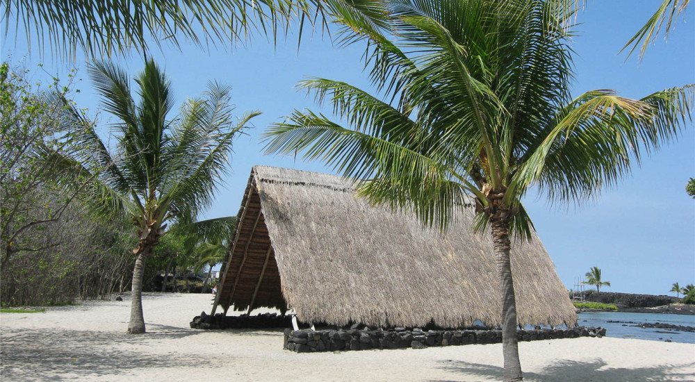 Historic Kona & Farm Tour