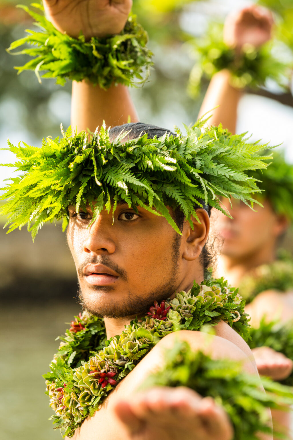Blue Hawaiian Activities Concierge Blue Hawaiian Activities Concierge Blue Hawaiian Activities Concierge Blue Hawaiian Activities Concierge